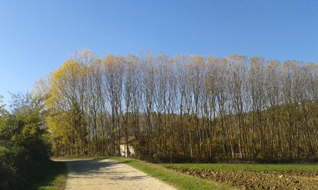 Vista Sul Patrimonio Dell'Unesco Cortiglione 外观 照片